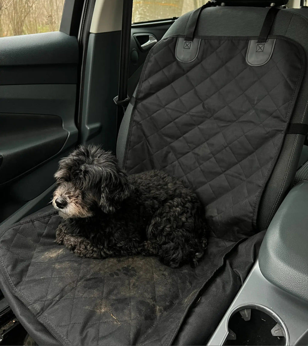 Pavira™ Säteskydd – en renare bil och lugnare köreturer för din hund